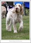 Filename=B-LordSnooty-2.jpg
Filesize=137KiB
Dimensions=668x907
Date added=Aug 18, 2010 B-LordSnooty-2.jpg