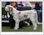 Filename=B-LordSnooty.jpg
Filesize=138KiB
Dimensions=868x698
Date added=Aug 18, 2010 B-LordSnooty.jpg