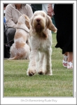 Filename=B-RudeBoy-2.jpg
Filesize=127KiB
Dimensions=668x907
Date added=Aug 18, 2010 B-RudeBoy-2.jpg
