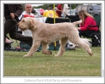 C-RockNRollParty-4.jpg