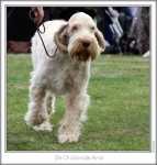 Filename=G-Arvo-3.jpg
Filesize=91KiB
Dimensions=658x688
Date added=Aug 18, 2010 G-Arvo-3.jpg