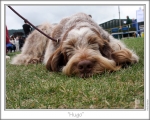 Filename=G-MagicsLittleMan-2.jpg
Filesize=163KiB
Dimensions=868x698
Date added=Aug 18, 2010 G-MagicsLittleMan-2.jpg