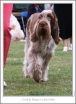Filename=G-MagicsLittleMan-3.jpg
Filesize=136KiB
Dimensions=668x907
Date added=Aug 18, 2010 G-MagicsLittleMan-3.jpg