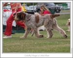 Filename=G-MagicsLittleMan-4.jpg
Filesize=136KiB
Dimensions=868x698
Date added=Aug 18, 2010 G-MagicsLittleMan-4.jpg