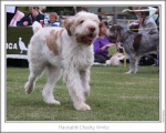Filename=H-CheekyVimto-2.jpg
Filesize=138KiB
Dimensions=868x698
Date added=Aug 18, 2010 H-CheekyVimto-2.jpg