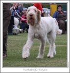Filename=H-KirRoyale-2.jpg
Filesize=101KiB
Dimensions=658x688
Date added=Aug 18, 2010 H-KirRoyale-2.jpg