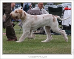 Filename=H-KirRoyale-4.jpg
Filesize=118KiB
Dimensions=868x698
Date added=Aug 18, 2010 H-KirRoyale-4.jpg