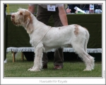 Filename=H-KirRoyale.jpg
Filesize=120KiB
Dimensions=868x698
Date added=Aug 18, 2010 H-KirRoyale.jpg