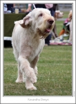 Filename=K-Denys-2.jpg
Filesize=125KiB
Dimensions=668x907
Date added=Aug 18, 2010 K-Denys-2.jpg