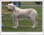 Filename=K-Denys.jpg
Filesize=151KiB
Dimensions=868x698
Date added=Aug 18, 2010 K-Denys.jpg