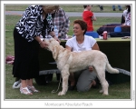 Filename=M-AbsolutePeach.jpg
Filesize=145KiB
Dimensions=868x698
Date added=Aug 18, 2010 M-AbsolutePeach.jpg
