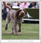 Filename=M-JustWilliam-3.jpg
Filesize=107KiB
Dimensions=658x688
Date added=Aug 18, 2010 M-JustWilliam-3.jpg