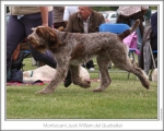 Filename=M-JustWilliam-4.jpg
Filesize=136KiB
Dimensions=868x698
Date added=Aug 18, 2010 M-JustWilliam-4.jpg