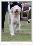 Filename=N-GotToBeThere-3.jpg
Filesize=116KiB
Dimensions=668x907
Date added=Aug 18, 2010 N-GotToBeThere-3.jpg