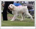 Filename=N-GotToBeThere-4.jpg
Filesize=118KiB
Dimensions=868x698
Date added=Aug 18, 2010 N-GotToBeThere-4.jpg