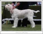 Filename=N-GotToBeThere.jpg
Filesize=119KiB
Dimensions=868x698
Date added=Aug 18, 2010 N-GotToBeThere.jpg