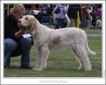Filename=O-DaintyBess.jpg
Filesize=138KiB
Dimensions=868x698
Date added=Aug 18, 2010 O-DaintyBess.jpg