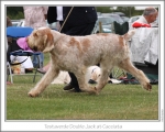 Filename=T-DoubleJack-4.jpg
Filesize=138KiB
Dimensions=868x698
Date added=Aug 18, 2010 T-DoubleJack-4.jpg