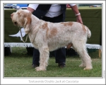 Filename=T-DoubleJack.jpg
Filesize=140KiB
Dimensions=868x698
Date added=Aug 18, 2010 T-DoubleJack.jpg