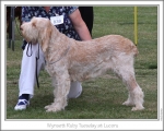 Filename=W-RubyTuesday.jpg
Filesize=159KiB
Dimensions=868x698
Date added=Aug 18, 2010 W-RubyTuesday.jpg