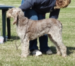 Filename=T-JigsawPuzzle.JPG
Filesize=394KiB
Dimensions=600x531
Date added=Sep 14, 2011 T-JigsawPuzzle.JPG