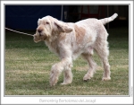 Filename=B-Bartolomeo-2.jpg
Filesize=141KiB
Dimensions=867x682
Date added=Aug 18, 2010 B-Bartolomeo-2.jpg
