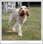 Filename=B-LikelyLad-2.jpg
Filesize=137KiB
Dimensions=658x683
Date added=Aug 18, 2010 B-LikelyLad-2.jpg