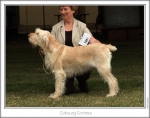 Filename=C-Corinna.jpg
Filesize=115KiB
Dimensions=867x686
Date added=Aug 18, 2010 C-Corinna.jpg