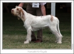 Filename=H-KirRoyale.jpg
Filesize=122KiB
Dimensions=865x636
Date added=Aug 18, 2010 H-KirRoyale.jpg