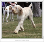 Filename=K-Caswyn-2.jpg
Filesize=176KiB
Dimensions=874x833
Date added=Aug 18, 2010 K-Caswyn-2.jpg