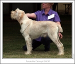 Filename=K-Caswyn.jpg
Filesize=133KiB
Dimensions=870x747
Date added=Aug 18, 2010 K-Caswyn.jpg