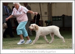 Filename=S-GoldflySugarfoot-3.jpg
Filesize=123KiB
Dimensions=864x628
Date added=Aug 18, 2010 S-GoldflySugarfoot-3.jpg