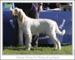 Filename=Hamac-NoroyDuPlessy.jpg
Filesize=136KiB
Dimensions=868x698
Date added=Sep 14, 2011 Hamac-NoroyDuPlessy.jpg
