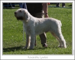 Filename=K-Lywles.jpg
Filesize=164KiB
Dimensions=868x698
Date added=Sep 14, 2011 K-Lywles.jpg