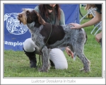 Filename=L-Desideria.jpg
Filesize=148KiB
Dimensions=868x698
Date added=Sep 14, 2011 L-Desideria.jpg