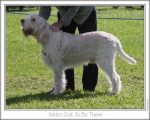 Filename=N-GotToBeThere.jpg
Filesize=183KiB
Dimensions=868x698
Date added=Sep 14, 2011 N-GotToBeThere.jpg