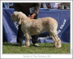 Filename=N-InTheGroove.jpg
Filesize=143KiB
Dimensions=868x698
Date added=Sep 14, 2011 N-InTheGroove.jpg