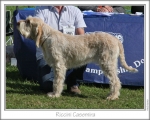 Filename=R-Casemira.jpg
Filesize=160KiB
Dimensions=868x698
Date added=Sep 14, 2011 R-Casemira.jpg