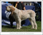 Filename=R-LittleSister.jpg
Filesize=143KiB
Dimensions=868x698
Date added=Sep 14, 2011 R-LittleSister.jpg