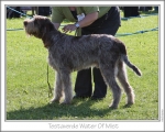 Filename=T-WaterOfMist.jpg
Filesize=195KiB
Dimensions=868x698
Date added=Sep 14, 2011 T-WaterOfMist.jpg