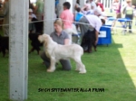 S-AllaPrima.jpg