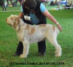 Filename=T-DoubleJack.jpg
Filesize=57KiB
Dimensions=500x462
Date added=Aug 18, 2010 T-DoubleJack.jpg