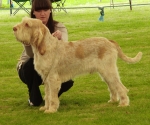 Filename=B-Finlay.JPG
Filesize=371KiB
Dimensions=600x503
Date added=Sep 14, 2011 B-Finlay.JPG