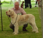 Filename=H-Bonnaire.JPG
Filesize=315KiB
Dimensions=600x526
Date added=Sep 14, 2011 H-Bonnaire.JPG