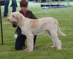 L-Glenglassaugh.JPG