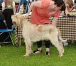 Filename=B-Finlay.JPG
Filesize=177KiB
Dimensions=600x523
Date added=Aug 18, 2010 B-Finlay.JPG