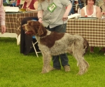 Filename=H-MrGrimsdale.JPG
Filesize=183KiB
Dimensions=600x499
Date added=Aug 18, 2010 H-MrGrimsdale.JPG