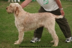Filename=B-EdwardGRobinson.jpg
Filesize=111KiB
Dimensions=750x500
Date added=Sep 14, 2011 B-EdwardGRobinson.jpg