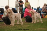 Filename=BOBChallenge.jpg
Filesize=114KiB
Dimensions=750x500
Date added=Sep 14, 2011 BOBChallenge.jpg