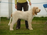 Filename=G-Hercules.jpg
Filesize=97KiB
Dimensions=750x562
Date added=Sep 14, 2011 G-Hercules.jpg